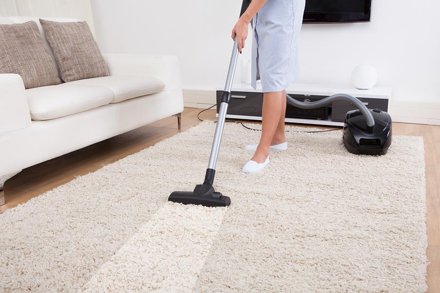 Arleta carpet cleaners