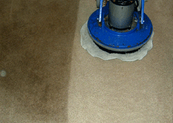 carpet cleaner Arleta